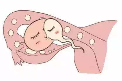 健闻医疗